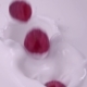 Raspberries Falling Into Milk in . Raspberry Falls Into Yogurt in - VideoHive Item for Sale