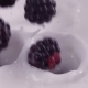 Blueberries Falling Into Milk in . Blueberries Falls Into Yogurt in . - VideoHive Item for Sale