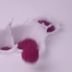 Raspberries Falling Into Milk - VideoHive Item for Sale