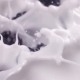 Blueberries Falling Into Milk in Blueberries Falls Into Yogurt in - VideoHive Item for Sale