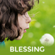 Blessing | Responsive WordPress Theme for Church Websites - ThemeForest Item for Sale