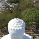 Aerial Survey Big Buddha Statue - VideoHive Item for Sale