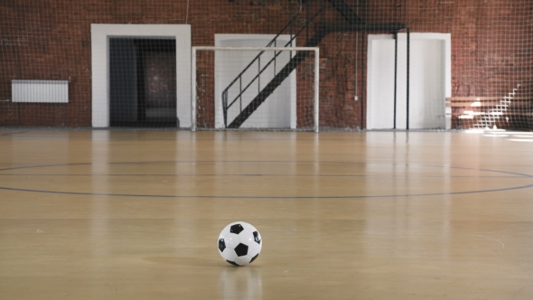 Soccer Ball on Field