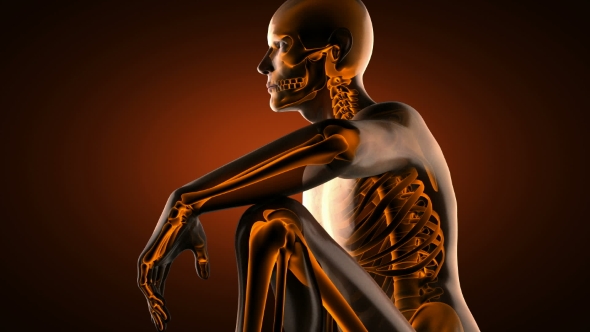 Human Bones Radiographic Scan alt