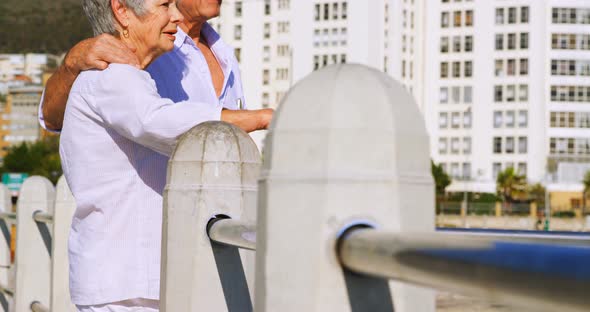 Senior couple interacting while standing near seaside