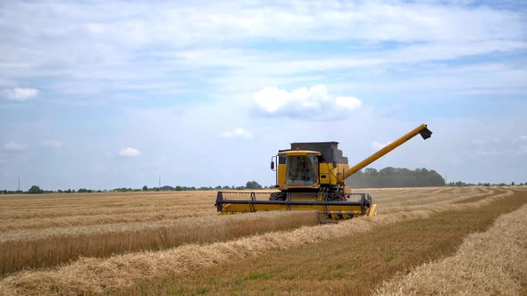 Combine harvesting on wheat field. Combine harvester at work harvesting field of wheat
