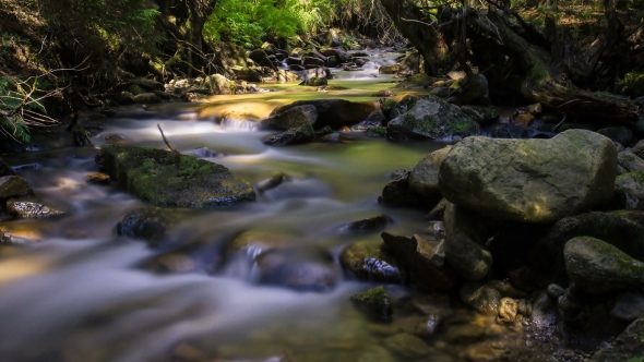 Shadows From Trees on a Mountain River