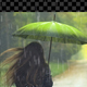 Rain Pack - VideoHive Item for Sale