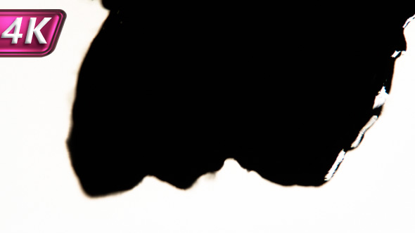 Black Fast Absorbing White alt