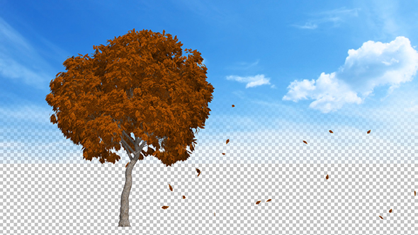 Leaves Falling Off Tree alt