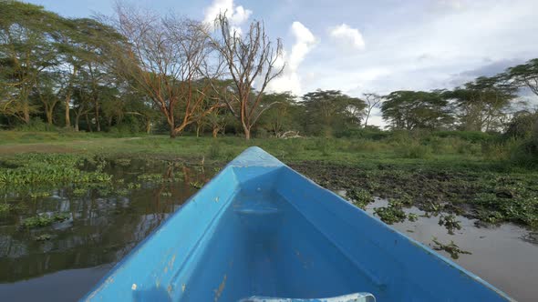 Boat navigating towards the shore of Lake Naivasha