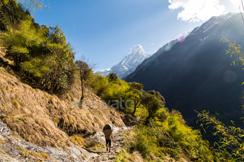  Mount Machapuchare Nepal