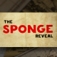 The Sponge Reveal - VideoHive Item for Sale