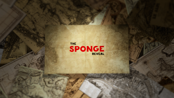 The Sponge Reveal