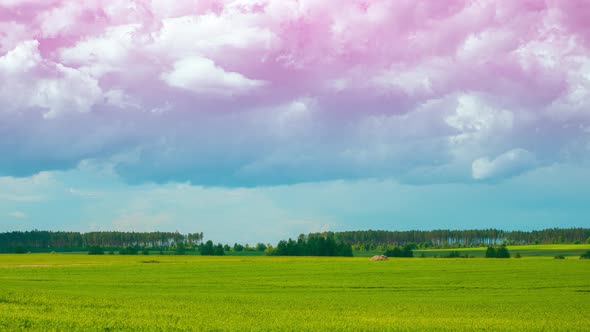 Light Magenta Toned Sky Above Countryside Rural Field Landscape Meadow