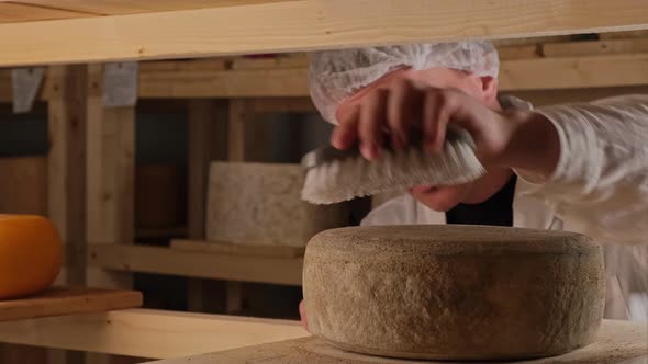 Worker Cleaning And Brushing The Cheese Wheels  Traditional Cheese Maturation