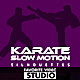 9 Karate Fighter Slow Motion Silhouettes - VideoHive Item for Sale