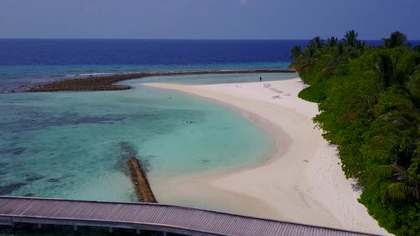 Drone tourism of exotic bay beach wildlife by blue water with sand background