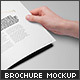 US Letter Brochure / Catalog Mock-Up - GraphicRiver Item for Sale