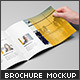 Landscape Brochure / Catalog Mock-Up - GraphicRiver Item for Sale