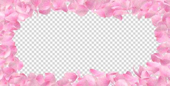 Petals Frame alt
