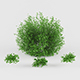 Vray Ready Plants Bush - 3DOcean Item for Sale
