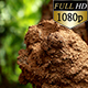 Termite Hive  0134 - VideoHive Item for Sale