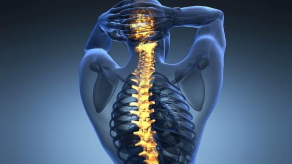 Backache in Back Bones alt