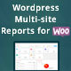 WordPress Multi-site Reports - CodeCanyon Item for Sale