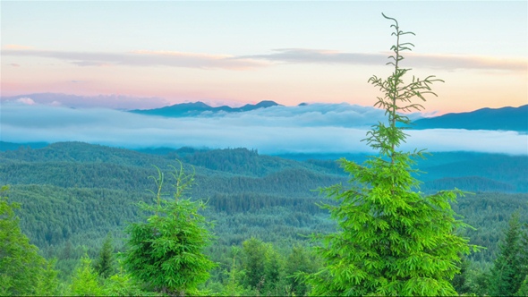 Misty Morning in the Mountains