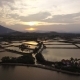 Aerial Survey Rice Fields at Sunset in Asia - VideoHive Item for Sale
