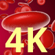 Blood Cells 4K - VideoHive Item for Sale
