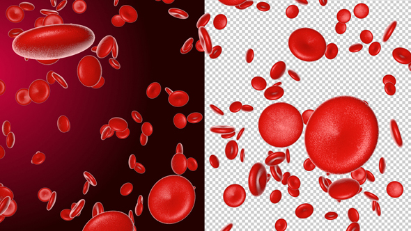 Blood Cells 4K