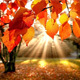 Rays of Inspiration