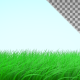 Grass - VideoHive Item for Sale
