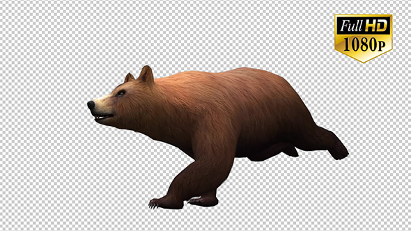 3D Bear 3 alt