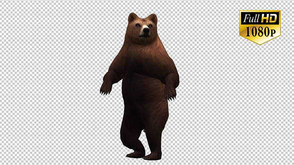 3D Bear 4
