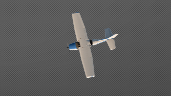 Flying Airplane Top View alt
