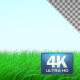 Grass - VideoHive Item for Sale