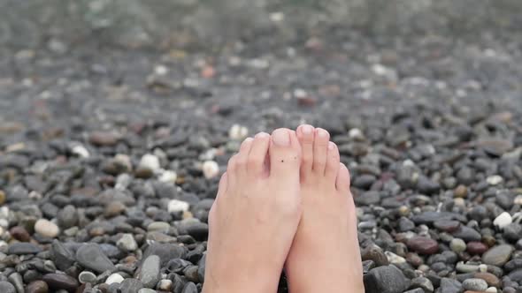 Woman Feet Walking Barefoot on Sandy Beach of Sea