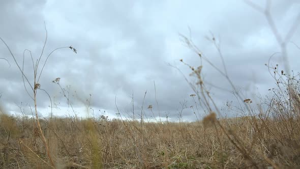 Armed Soldiers Running Forward To Attack alt