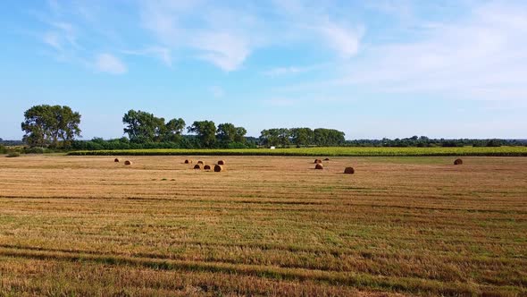 Aero Drone Flight Over Wheat Field with Rick Straw Bales