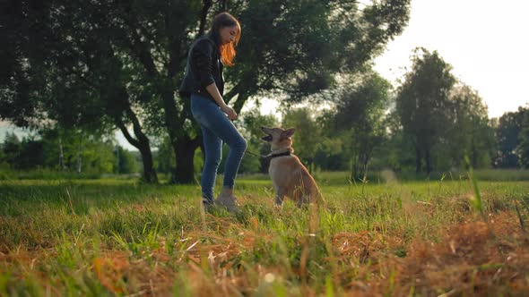 A Young Girl Is Training Her Outbred Dog in a Park.