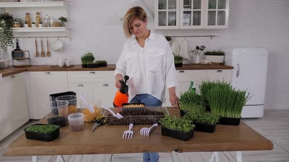 A Girl is Watering Micro Green Sprouts Closeup in a Modern Greenhouse