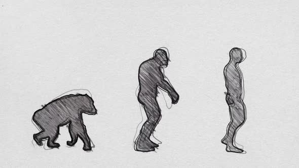 Human Evolution Timeline Walking In Pencil Sketch Seamless Loop