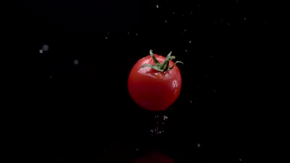 Tomato Slow Motion Closeup Falling in Water with Splash Droplets