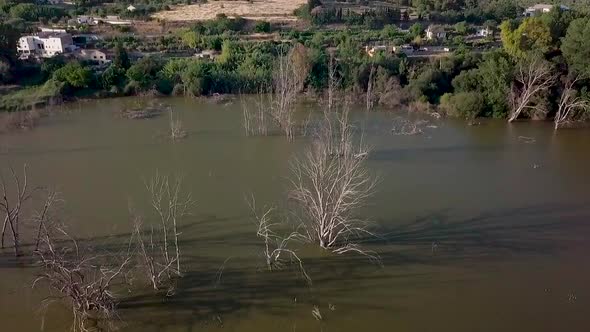 Drone view of a swamp with camera movement.