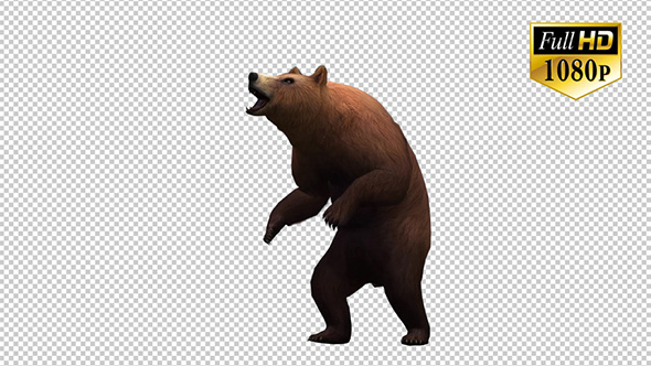 3D Bear 6 alt
