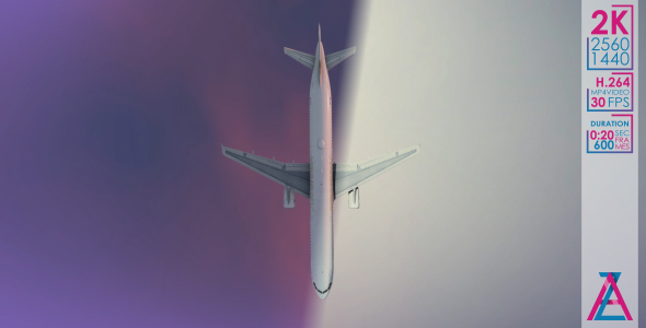 The Flight of an Airplane