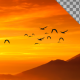 Birds - VideoHive Item for Sale